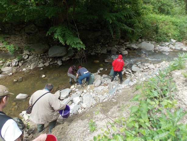 The volunteers in action